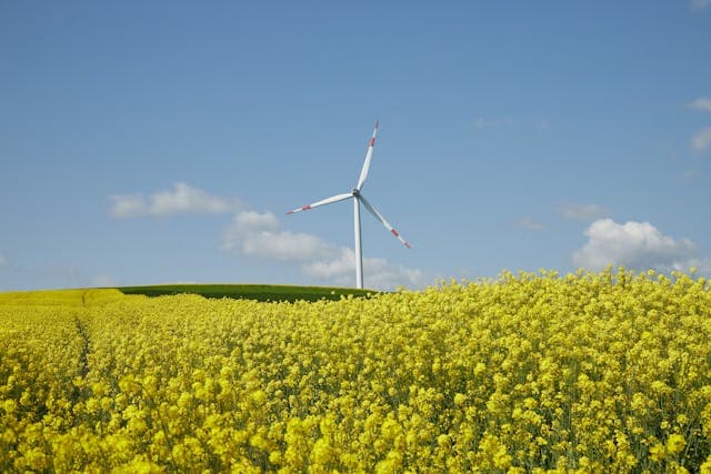 Tarım ve Kırsal Enerji Sektörü